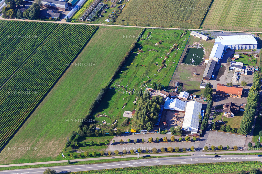 Fussballgolfpark Südpfalz auf dem Adamshof Kandel http://www.fussballgolfpark-suedpfalz.de/ http://www.kandel-adamshof.de/ | Luftbild: Fussballgolfpark Südpfalz auf dem Adamshof Kandel http://www.fussballgolfpark-suedpfalz.de/ http://www.kandel-adamshof.de/ in Kandel im Bundesland Rheinland-Pfalz in Deutschland. Foto: IMG_072848.jpg vom 23.09.2014 durch Werner Riehm/FLY-FOTO.de - Realisiert mit Pictrs.com