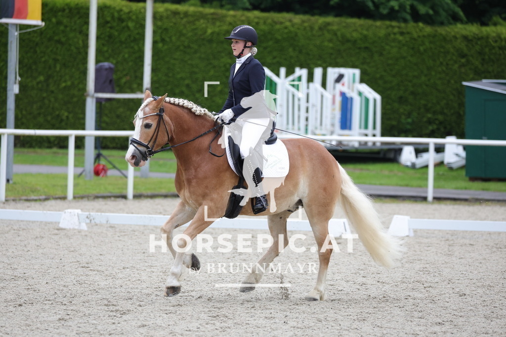 0P6A4106 | Willkommen bei Brunnmayr - Design & Fotografie – Ihrem Spezialisten für Reitturniere und Pferdeveranstaltungen in Oberösterreich, Salzburg und Bayern! Seit über 17 Jahren sind wir leidenschaftlich dabei.
