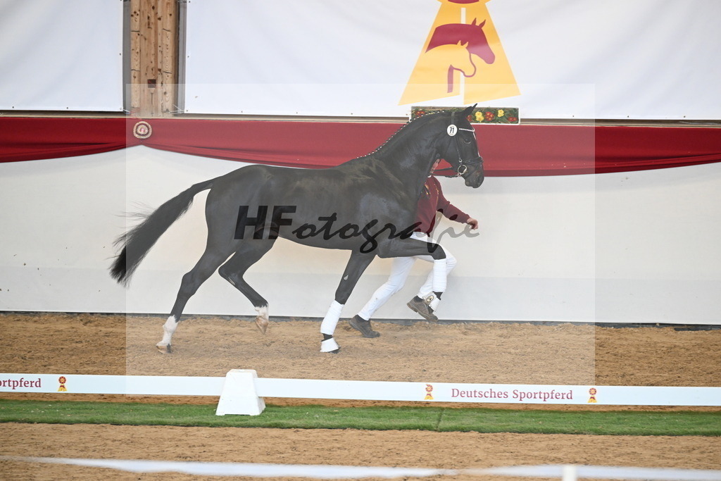 Kat.-Nr. 71 v. Jameson RS2_Greim_2250594 | hf-fotografie - Realisiert mit Pictrs.com