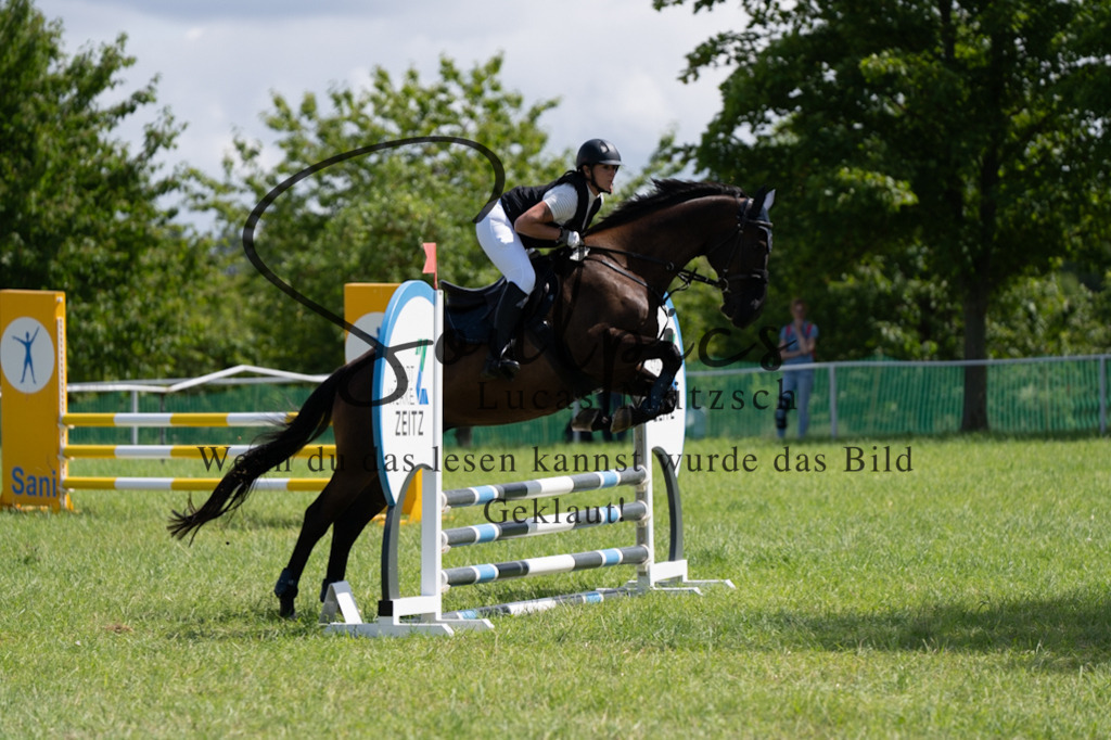 A7V04217 | Pferdefotograf