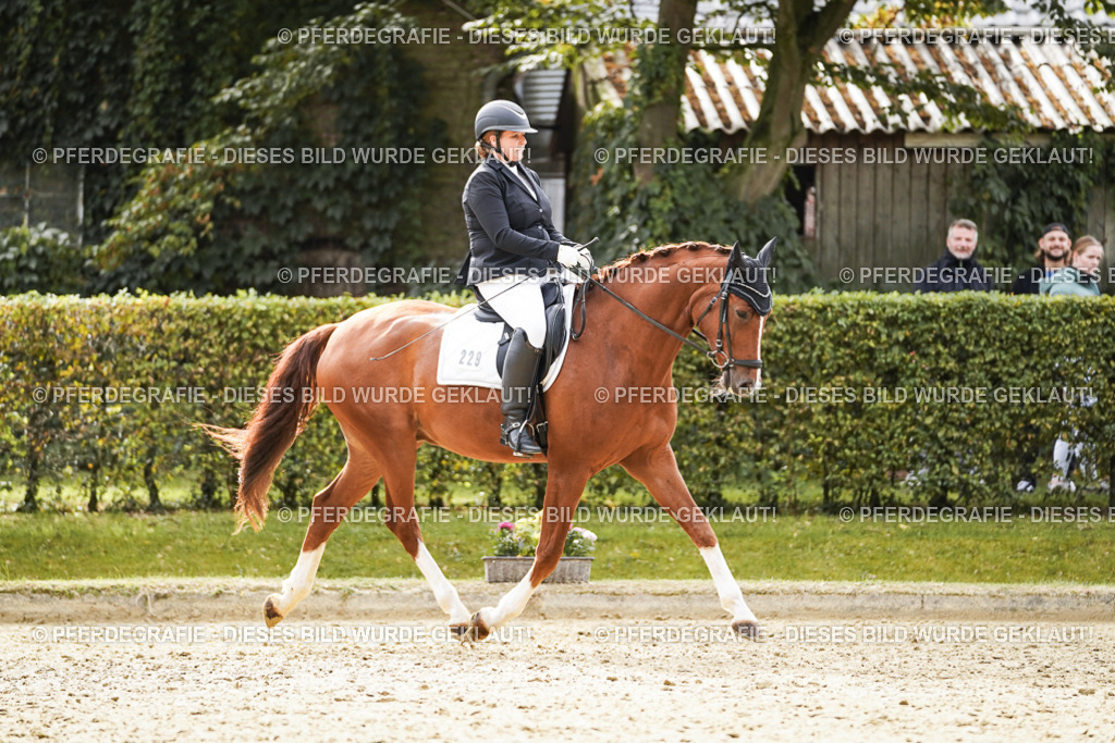 DSC01327 | Pferdegrafie