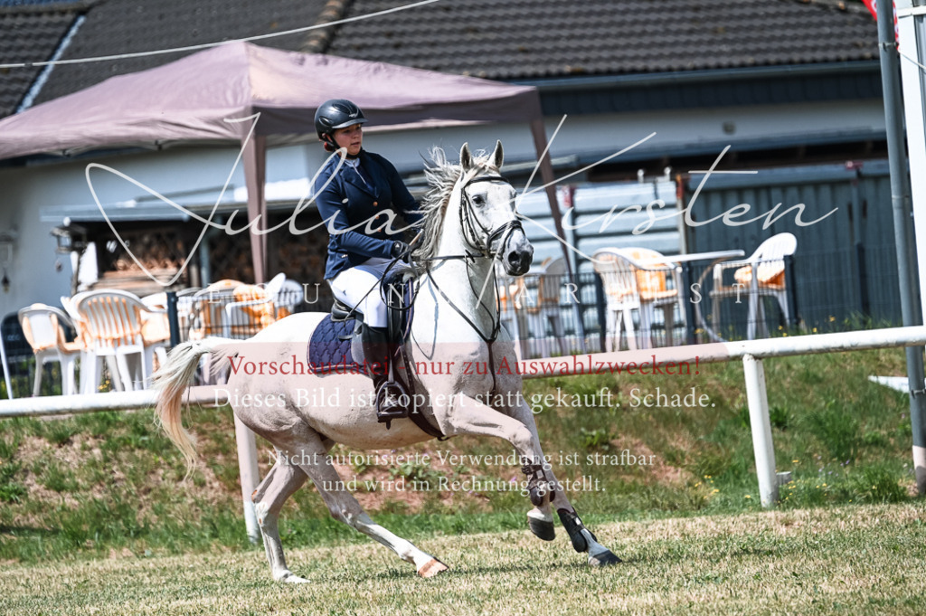 DSC_9238 | Pferde- und Turnierfotografie in Westsachsen. Pferdeportraits, Auftragszeichnungen und intuitive Kunst.