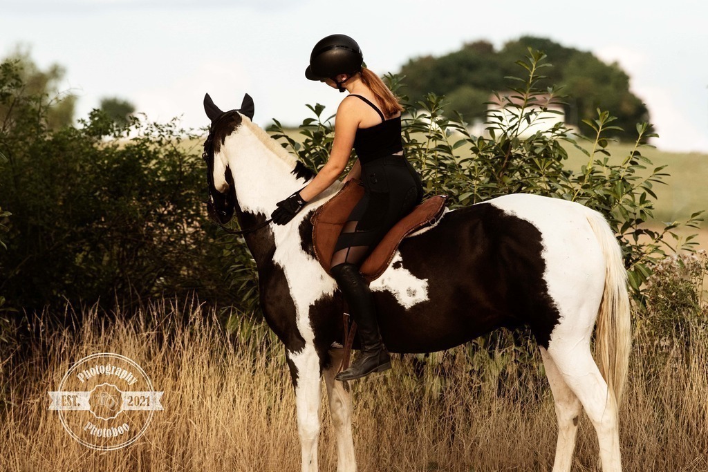 Lieblingsbilder_Photoboo_2 | Pferde- und Hundefotografie in Köln und Umgebung von Vanessza Csuka - Realisiert mit Pictrs.com