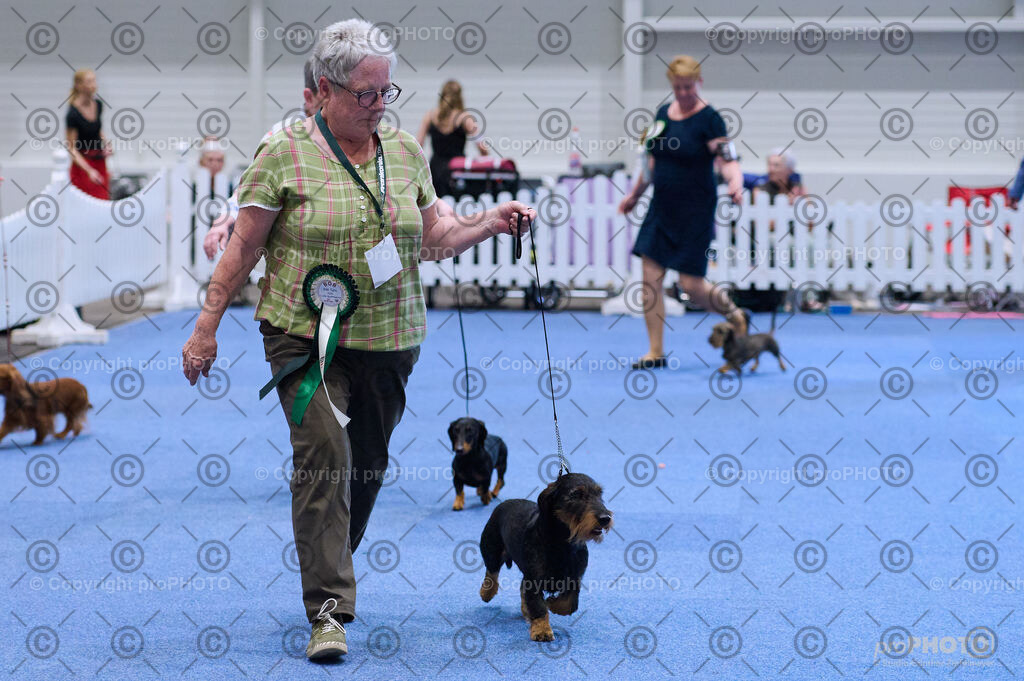 202406_ÖKV-IHA-Tulln24_DSC_3885 | proPHOTO - Realisiert mit Pictrs.com