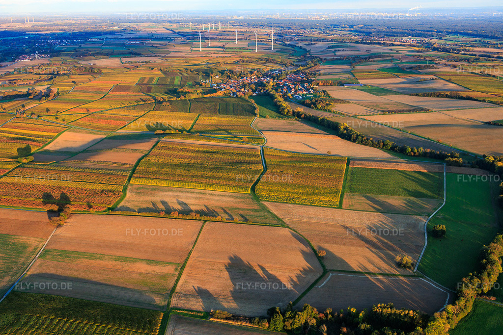 Luftbild: herbstlich gerfärbte Weinberge zwischen Dierbach und Oberhausen in Oberhausen im Bundesland Rheinland-Pfalz in Deutschland. Foto: IMG_150391.jpg vom 15.10.2025 durch Werner Riehm/FLY-FOTO.de