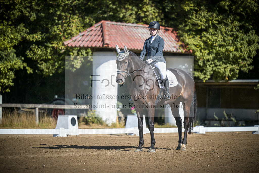 DOS_2373 | Entdecke hochwertige Reitturnierfotos von Foto Oger. Professionell, emotional und authentisch – jetzt Lieblingsmomente im Shop bestellen.Deutschlandweite Turnierfotografie. - Realisiert mit Pictrs.com