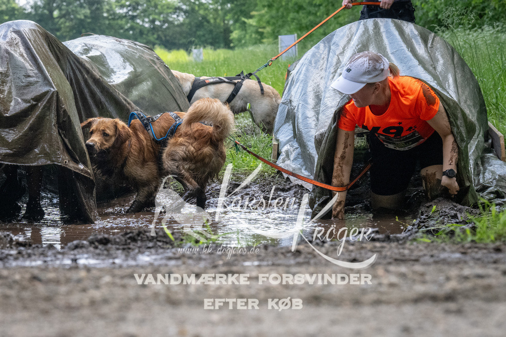1145_ZZ94337 | kk-dogfotos
