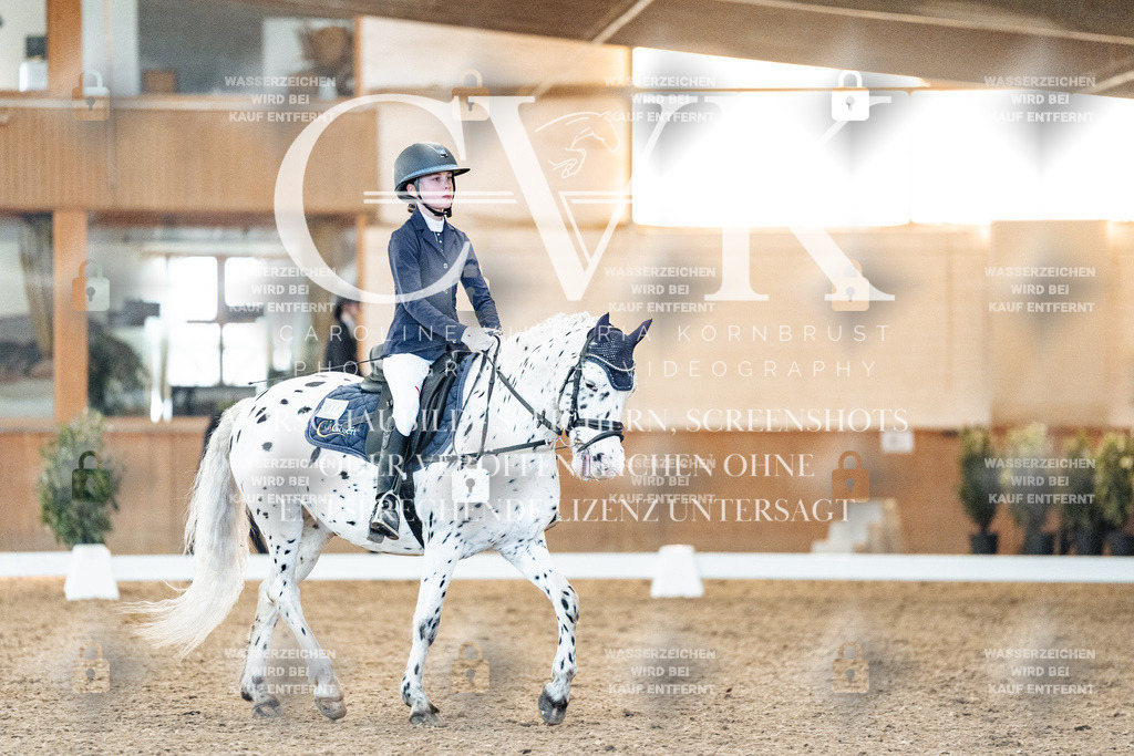 CK906822 | Turnierfotografie Pferdefotografie Trier Rheinland-Pfalz Pferdesport Reitsport Tierfotografie Sportfotografie Pferdevideo Pferdevideografie Equestrianvideography equestrianphotography  - Realisiert mit Pictrs.com