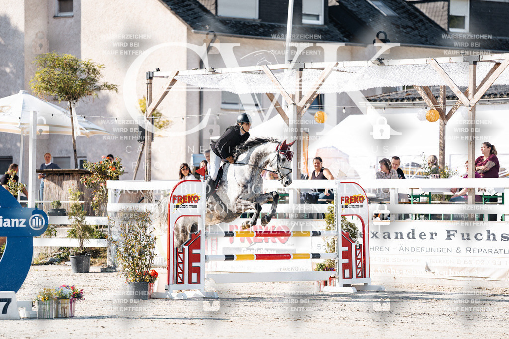 CK907485 | Turnierfotografie Pferdefotografie Trier Rheinland-Pfalz Pferdesport Reitsport Tierfotografie Sportfotografie Pferdevideo Pferdevideografie Equestrianvideography equestrianphotography  - Realisiert mit Pictrs.com