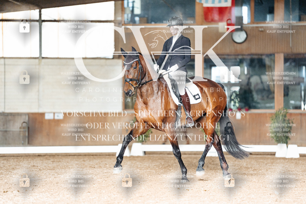 CK903076 | Turnierfotografie Pferdefotografie Trier Rheinland-Pfalz Pferdesport Reitsport Tierfotografie Sportfotografie Pferdevideo Pferdevideografie Equestrianvideography equestrianphotography  - Realisiert mit Pictrs.com