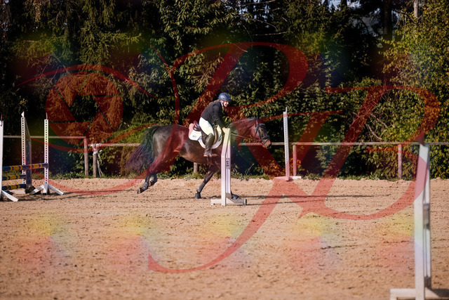 2026_10_03_Siefer-Hof_155002_Z81_69150981 | Professionelle Reitsport-, Turnier- und Eventfotografie von Robert Broda. Galerien mit ausgewählten und bearbeiteten Bildern direkt online ansehen und bestellen.
