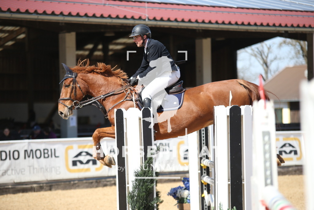 AS8V3791 | Willkommen bei Brunnmayr - Design & Fotografie – Ihrem Spezialisten für Reitturniere und Pferdeveranstaltungen in Oberösterreich, Salzburg und Bayern! Seit über 17 Jahren sind wir leidenschaftlich dabei.