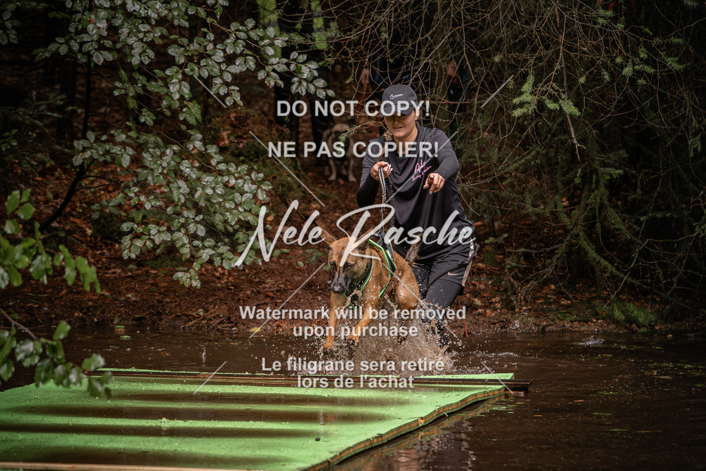 nelerasche_Wingst_Sa1330-1400_72 | nelerasche