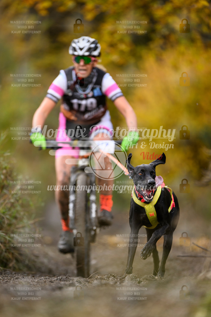 MompixPhotography_ICF_WC_2024_SA_Bike_-262 | PayLife