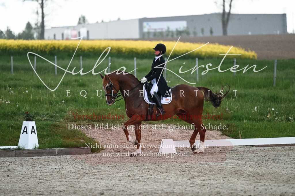 20230514_JK-Röhrsdorf-21-575 | Pferde- und Turnierfotografie in Westsachsen. Pferdeportraits, Auftragszeichnungen und intuitive Kunst.