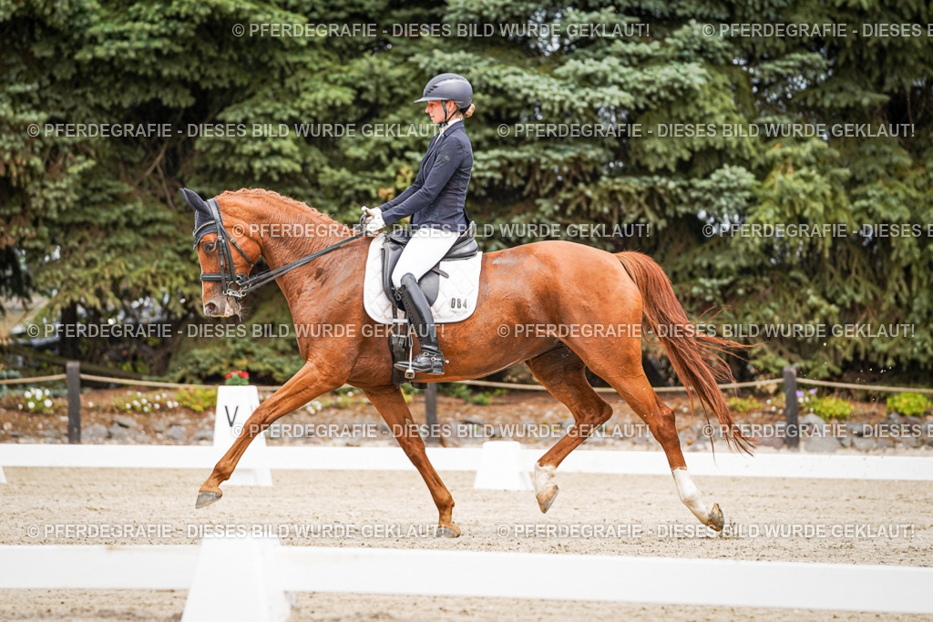 DSC04796 | Pferdegrafie