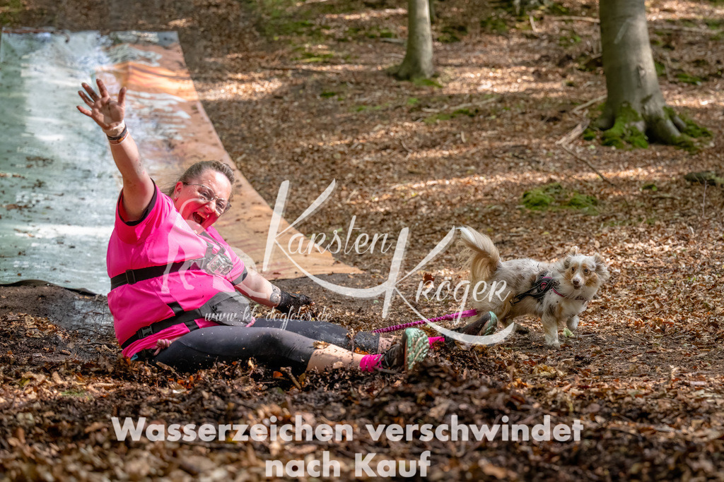 1239_ZZ90655-Bearbeitet | kk-dogfotos