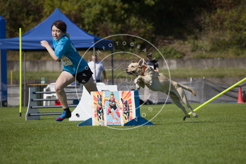 0L8A7395 | Hundefotografie, Tierfotograf, Pfotenfotografie, Fotoshooting Hund, Hunde Portrait, Hundesport, Hundeportraits, Heideshooting, Hunde, Sportfotograf, Hundefotograf, Turnierhundsport, THS,  - Realisiert mit Pictrs.com