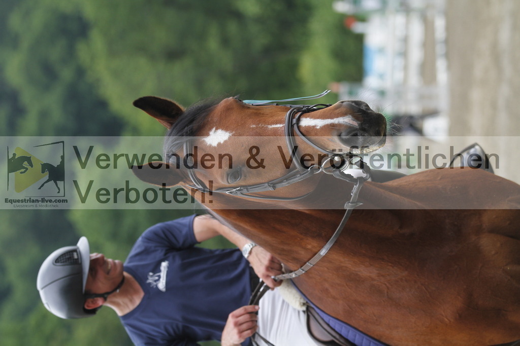 _MG_5743 | equestrian-live-com