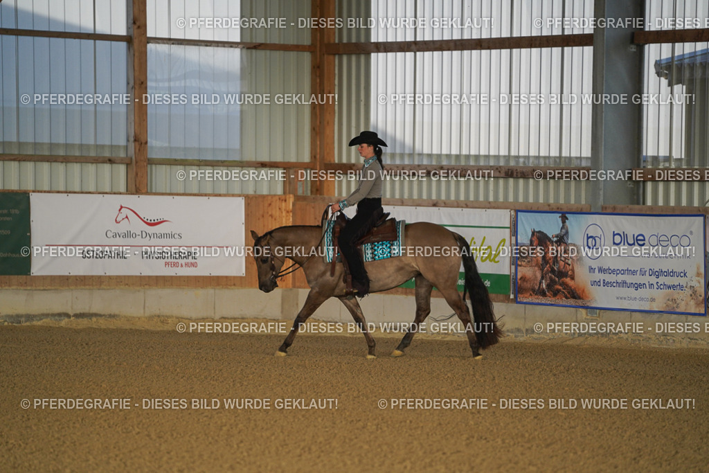 DSC07594 | Pferdegrafie