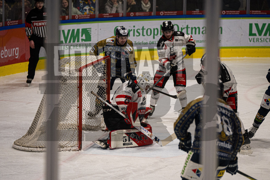 Eishockey I Herren I Saison 2025-2026 I Regionalliga Nord I Adendorfer EC - Harzer Falken | CONTRAST ZERØ MEDIA - Realisiert mit Pictrs.com