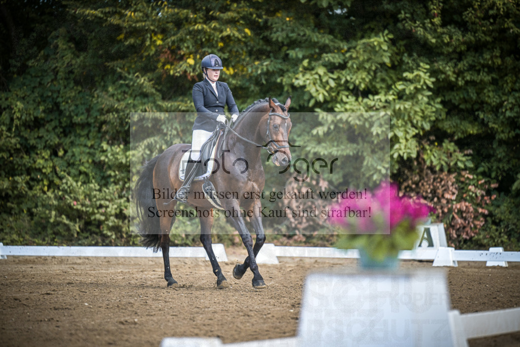 DOS_4109 | Entdecke hochwertige Reitturnierfotos von Foto Oger. Professionell, emotional und authentisch – jetzt Lieblingsmomente im Shop bestellen.Deutschlandweite Turnierfotografie. - Realisiert mit Pictrs.com