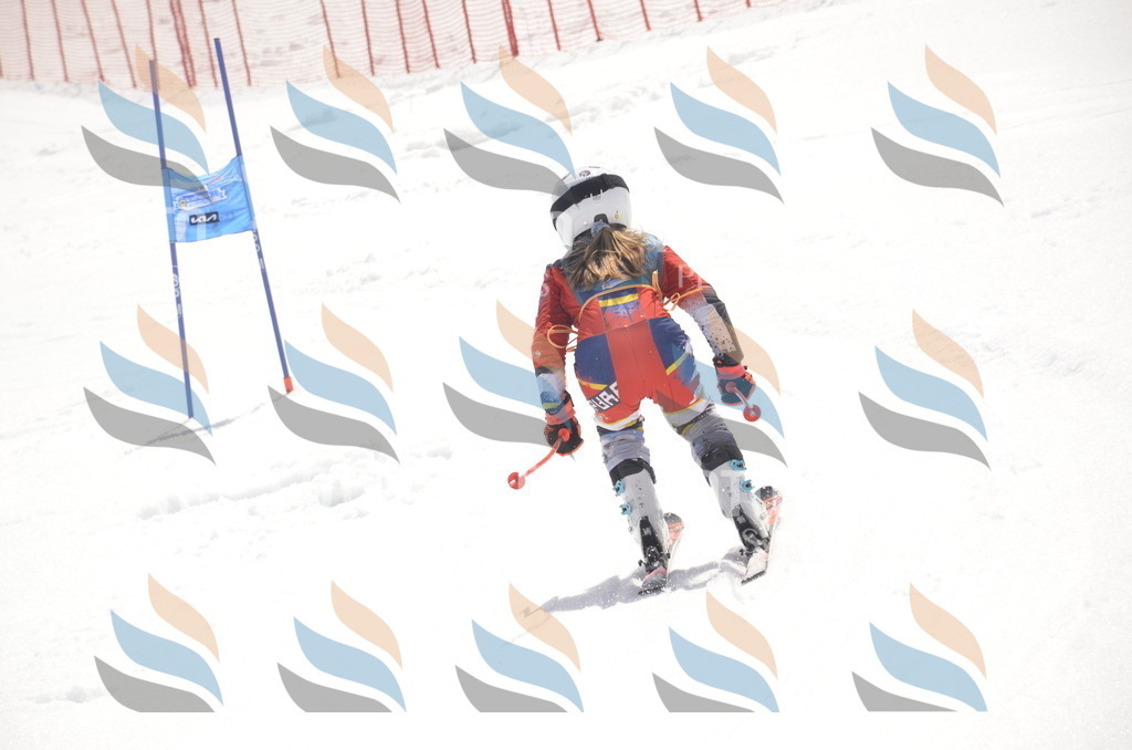 _ELE9297 | holidayphoto