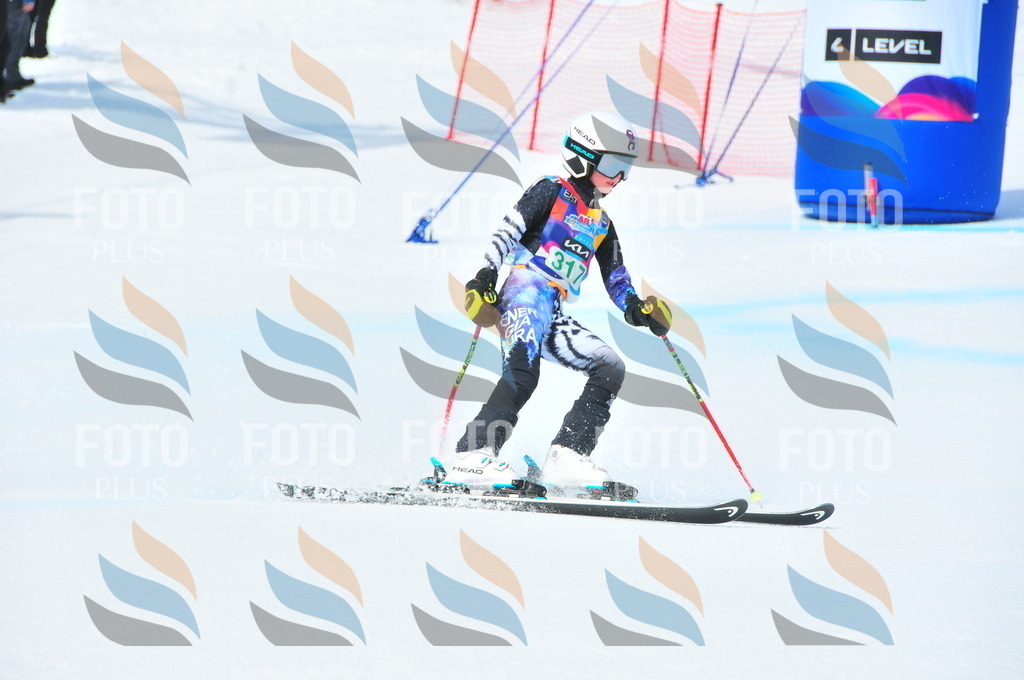 DSC_2921 | holidayphoto