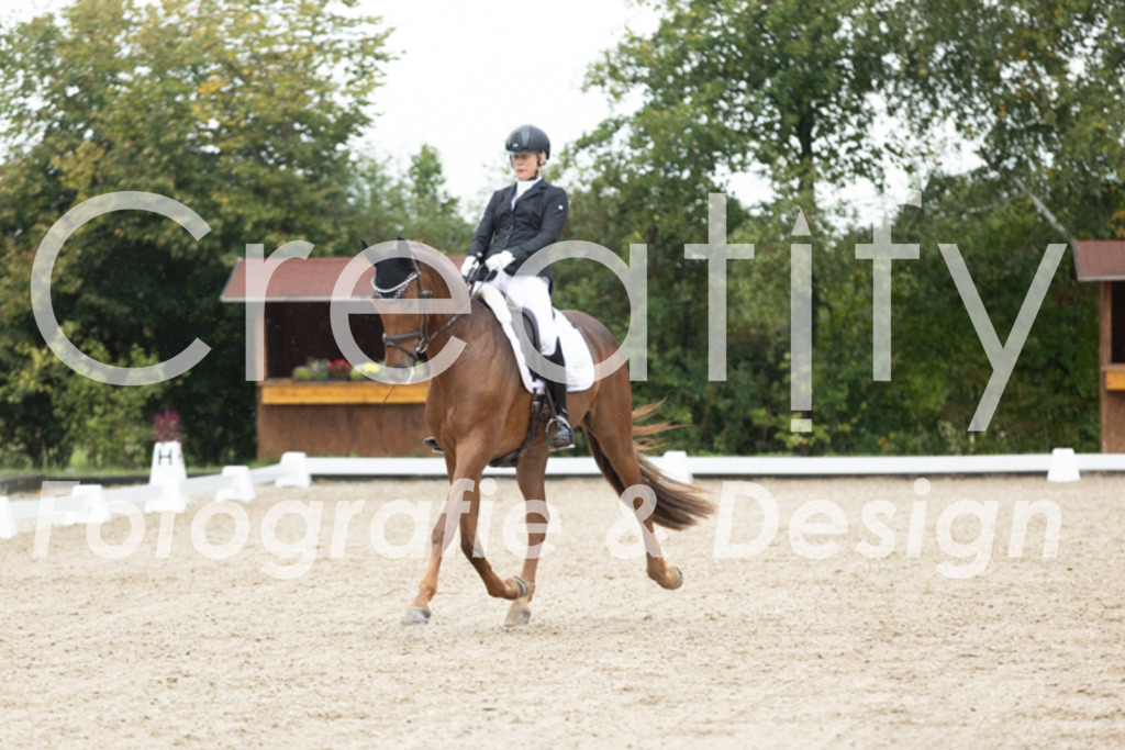 IMG_4521 | Creatify Fotografie