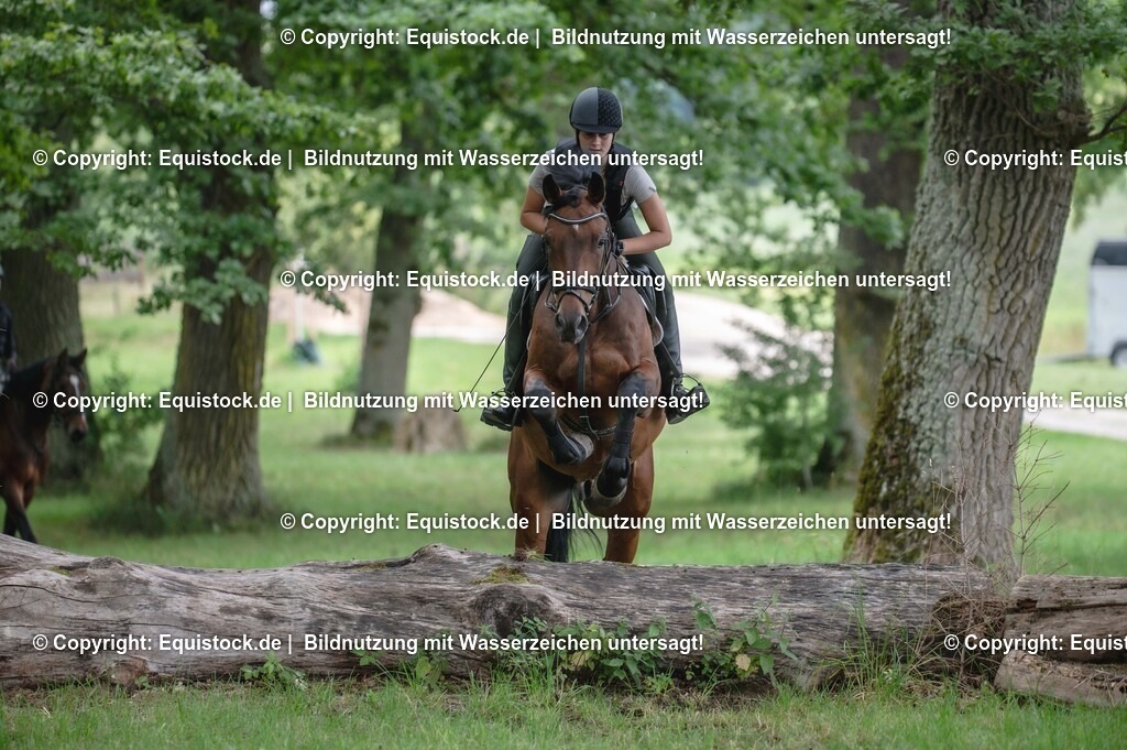 20250726_Vielseitigkeitslehrgang-Marbach_0760 | Foto: Thomas Hartig