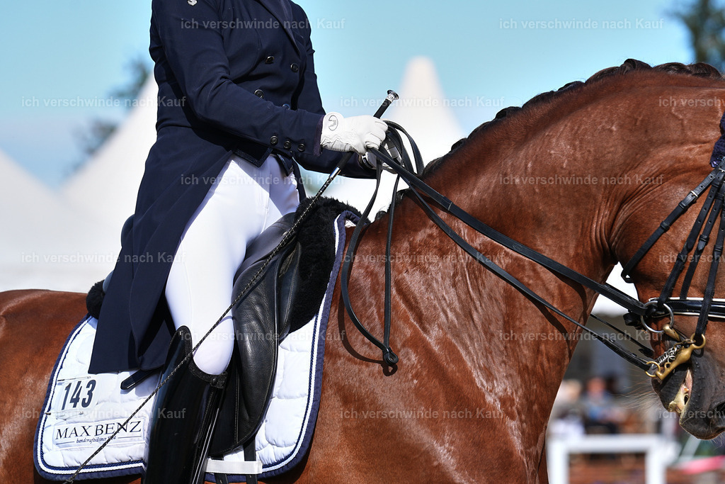 6-143-AMATUER-DRESSUR S_  -Marixx-3689 | working equitationturnier fotograf videograf stoibphotography marixx film working equitation deutschland reitsport turnierfotografie eventfotografie equestrian events