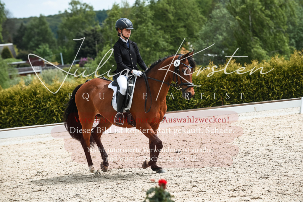 20230518_JK-Röhrsdorf-11-0224 | Pferde- und Turnierfotografie in Westsachsen. Pferdeportraits, Auftragszeichnungen und intuitive Kunst.