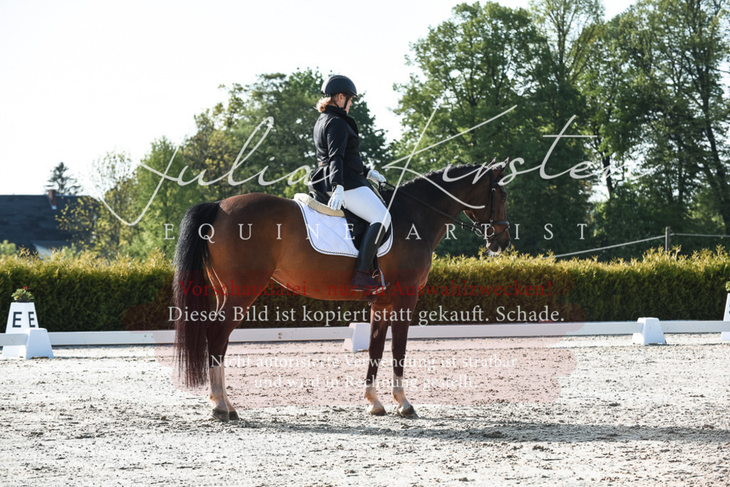 20230518_JK-Röhrsdorf-09-0705 | Pferde- und Turnierfotografie in Westsachsen. Pferdeportraits, Auftragszeichnungen und intuitive Kunst.