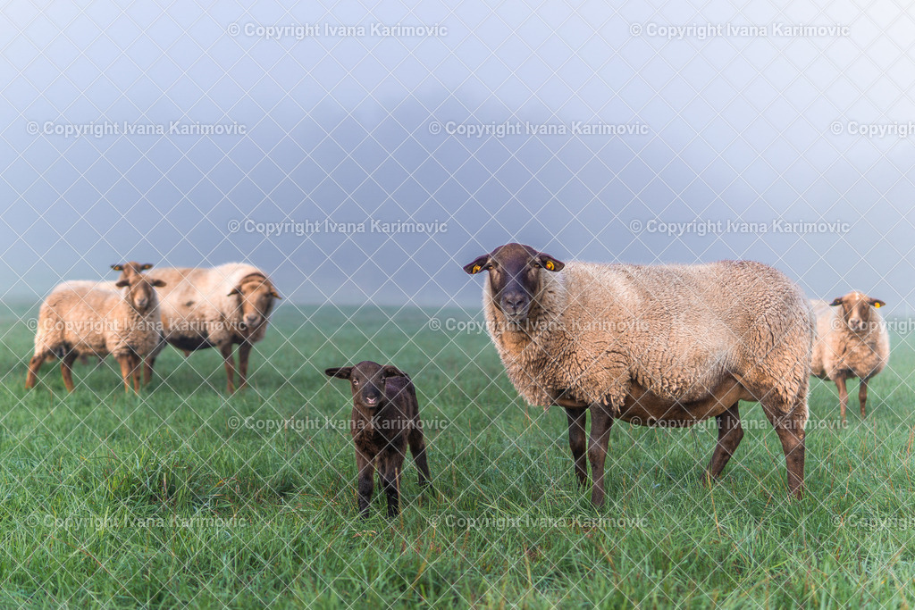 Treisbach  | ikphotography - Realisiert mit Pictrs.com