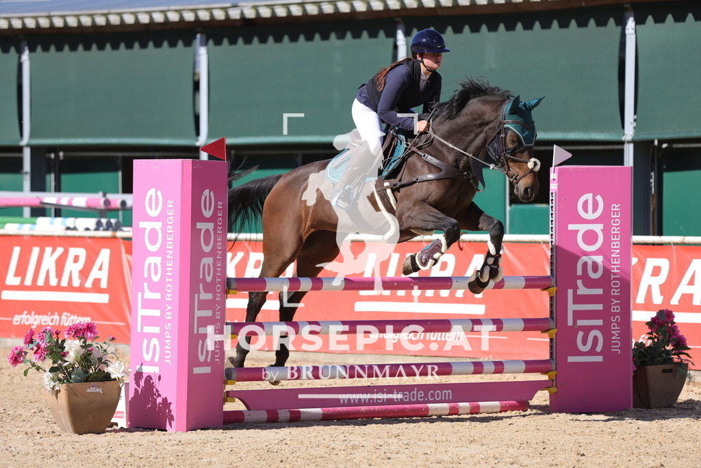 0P6A0261 | Willkommen bei Brunnmayr - Design & Fotografie – Ihrem Spezialisten für Reitturniere und Pferdeveranstaltungen in Oberösterreich, Salzburg und Bayern! Seit über 17 Jahren sind wir leidenschaftlich dabei.