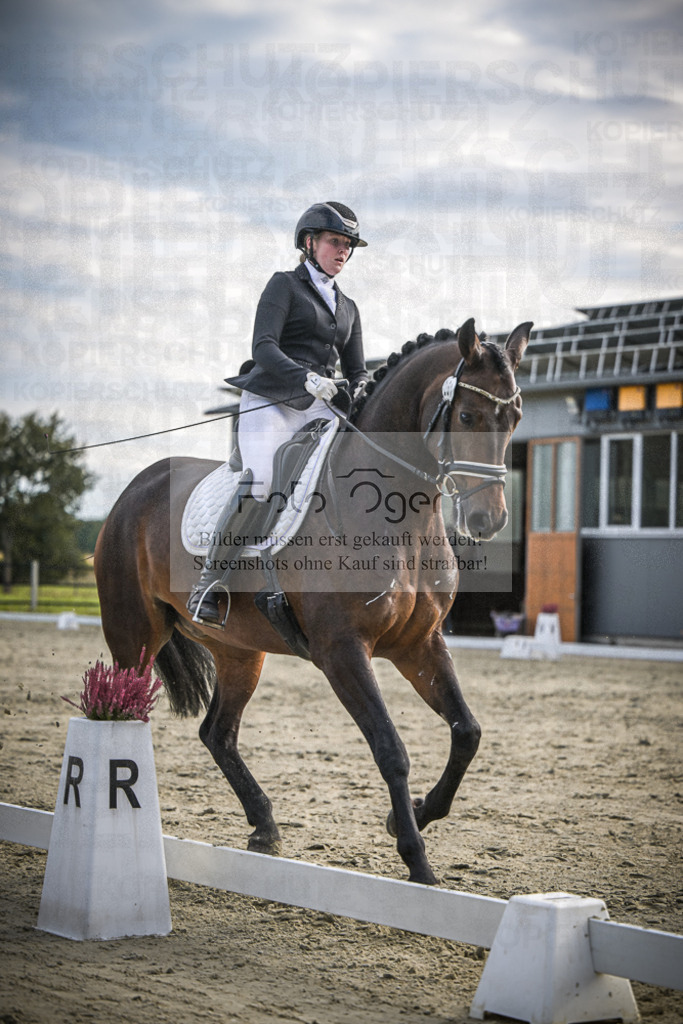 DOS_1742 | Entdecke hochwertige Reitturnierfotos von Foto Oger. Professionell, emotional und authentisch – jetzt Lieblingsmomente im Shop bestellen.Deutschlandweite Turnierfotografie. - Realisiert mit Pictrs.com