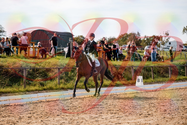 2026_10_03_Siefer-Hof_131049_Z63_74249680 | Professionelle Reitsport-, Turnier- und Eventfotografie von Robert Broda. Galerien mit ausgewählten und bearbeiteten Bildern direkt online ansehen und bestellen.