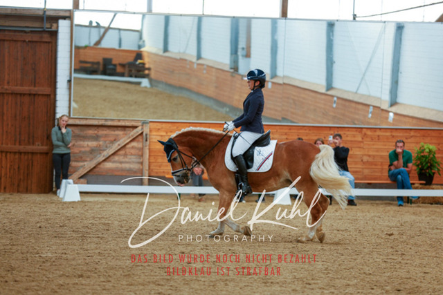 _62_5599 | Turniersportfotografie; Pferdefotografie; Dressurfotografie