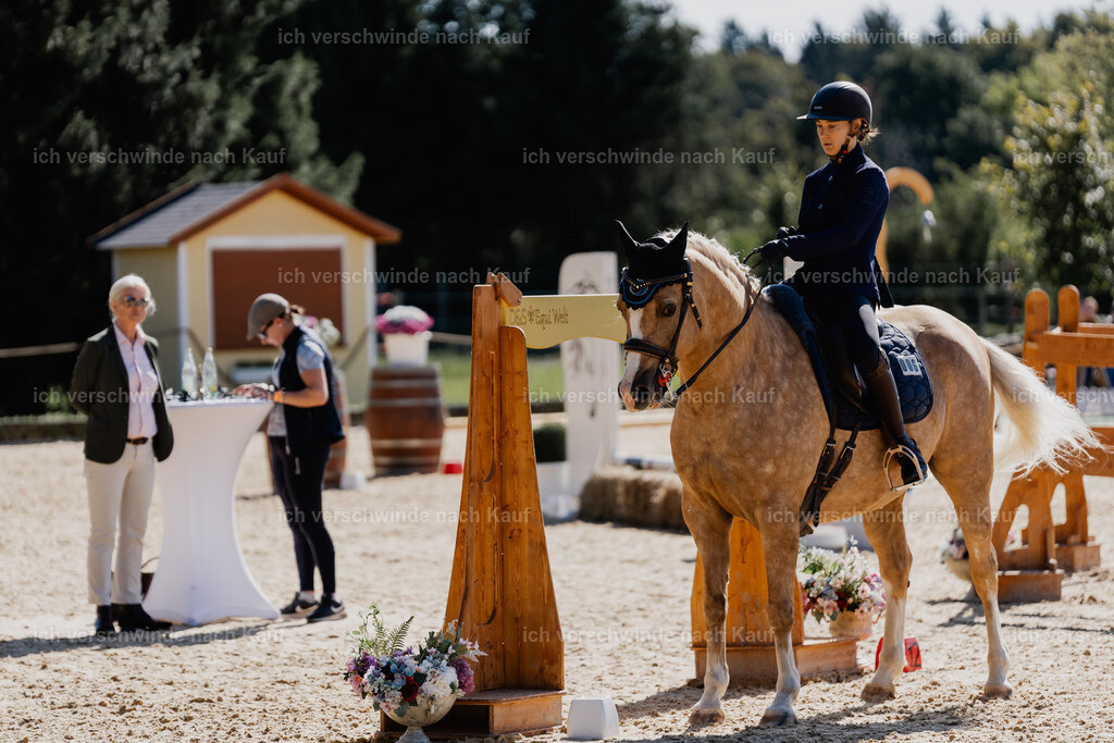 Nici11_FHC2025-09099 | working equitationturnier fotograf videograf stoibphotography marixx film working equitation deutschland reitsport turnierfotografie eventfotografie equestrian events