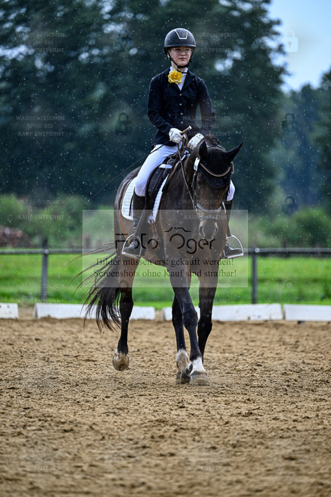Reitturnier Hasbergen | Entdecke hochwertige Reitturnierfotos von Foto Oger. Professionell, emotional und authentisch – jetzt Lieblingsmomente im Shop bestellen. - Realisiert mit Pictrs.com