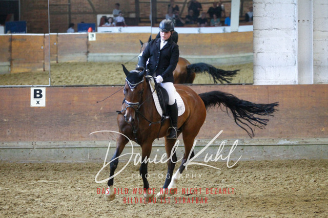 DKP43990 | Turniersportfotografie; Pferdefotografie; Dressurfotografie