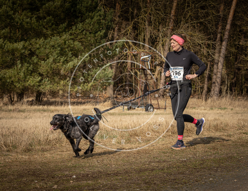 DV3A5871 | Hundefotografie, Tierfotograf, Pfotenfotografie, Fotoshooting Hund, Hunde Portrait, Hundesport, Hundeportraits, Heideshooting, Hunde, Sportfotograf, Hundefotograf, Turnierhundsport, THS,  - Realisiert mit Pictrs.com