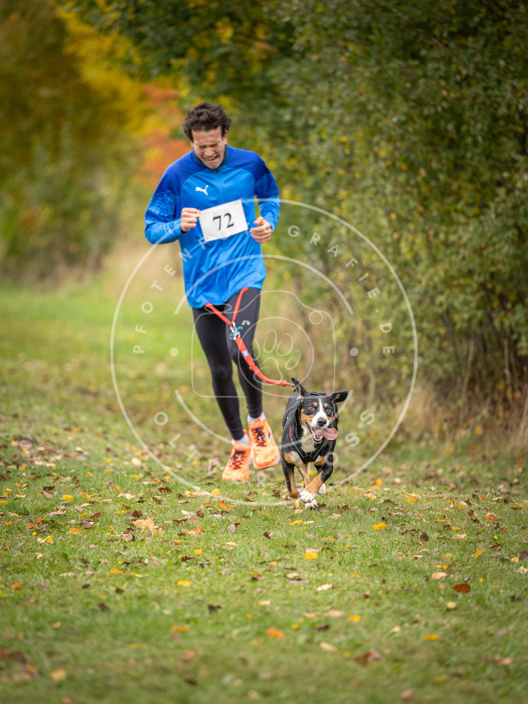Pfotenfotografie_DV3A2823 | Hundefotografie, Tierfotograf, Pfotenfotografie, Fotoshooting Hund, Hunde Portrait, Hundesport, Hundeportraits, Heideshooting, Hunde, Sportfotograf, Hundefotograf, Turnierhundsport, THS,  - Realisiert mit Pictrs.com