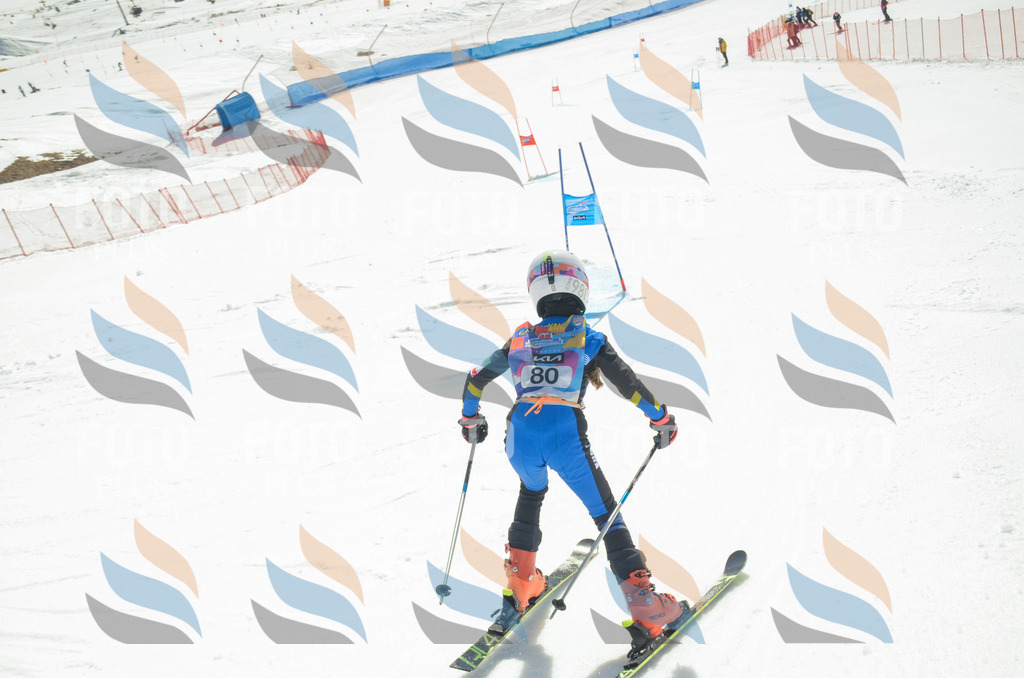 _ELE5557 | holidayphoto