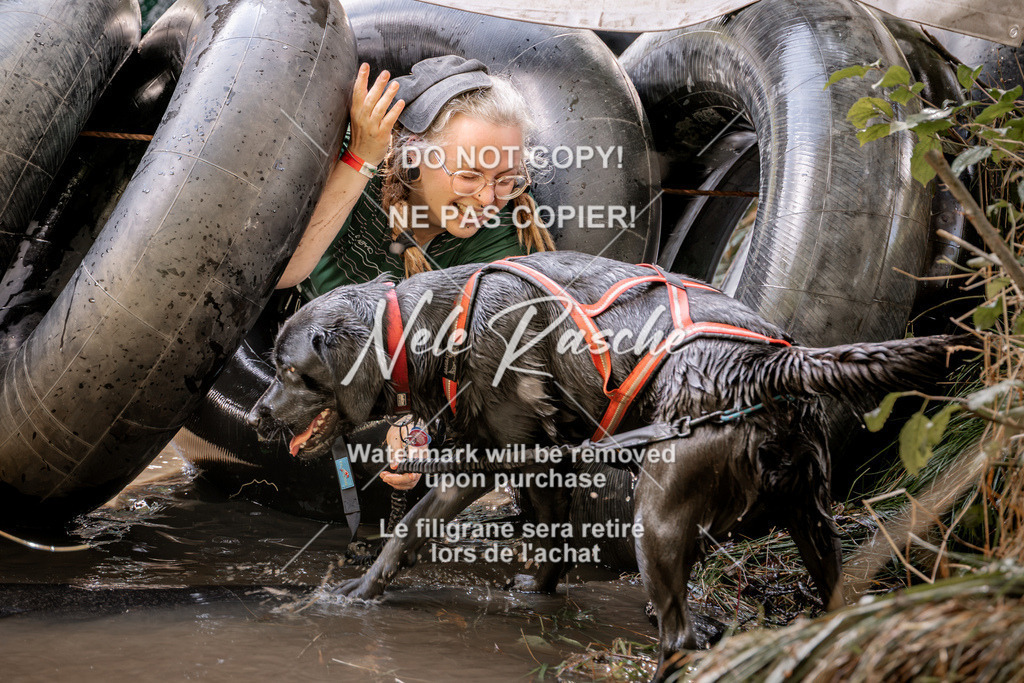 nelerasche_Hunsrück2026_Sa1400-1500_417 | nelerasche