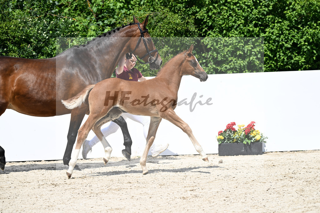 Untouchable x Contender_HF_Weber_13251263 | hf-fotografie - Realizzato con Pictrs.com