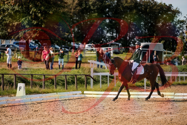 2026_10_03_Siefer-Hof_130341_Z63_65958795 | Professionelle Reitsport-, Turnier- und Eventfotografie von Robert Broda. Galerien mit ausgewählten und bearbeiteten Bildern direkt online ansehen und bestellen.