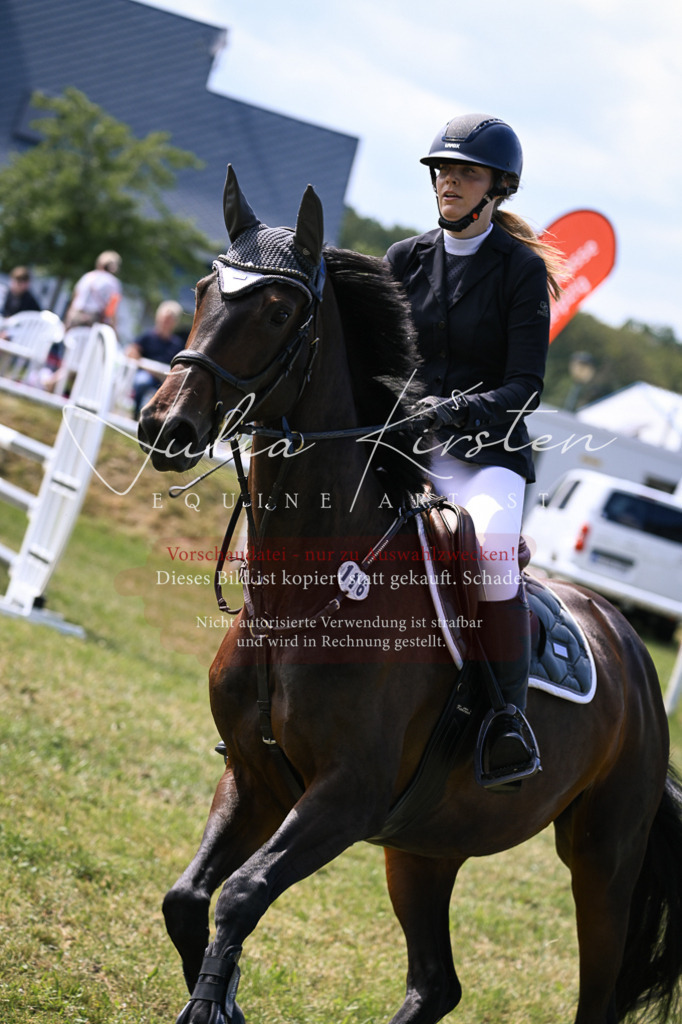 DSC_0532 | Pferde- und Turnierfotografie in Westsachsen. Pferdeportraits, Auftragszeichnungen und intuitive Kunst.