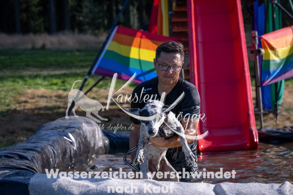 1713_ZZ93944 | kk-dogfotos