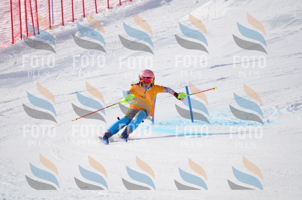 C7732 | holidayphoto